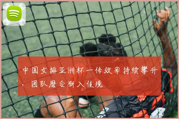 中国女排亚洲杯一传效率持续攀升，团队磨合渐入佳境