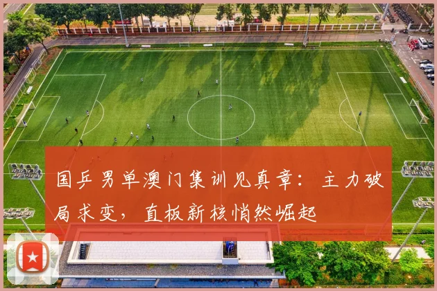 国乒男单澳门集训见真章：主力破局求变，直板新核悄然崛起