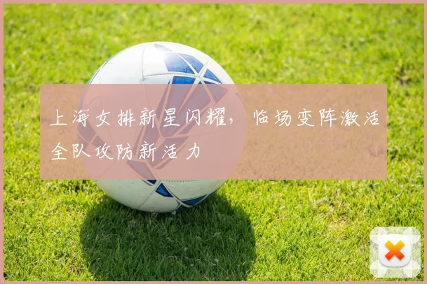 上海女排新星闪耀，临场变阵激活全队攻防新活力
